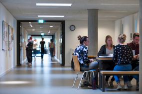 Studierende lernen in einer Gruppe.