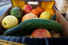 Eine Kiste mit Obst und Gemüse