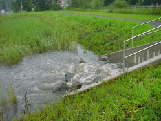 Foto_Namuth_Hille