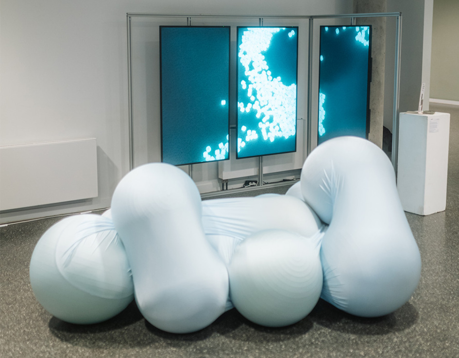 Besucher:innen der Ausstellung