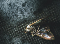 unser täglich gift