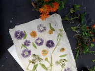 Selbstgeschöpftes Papier mit Pflanzenteilen