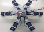 Bild5-Hexapoder-sechsbeiniger-Roboter