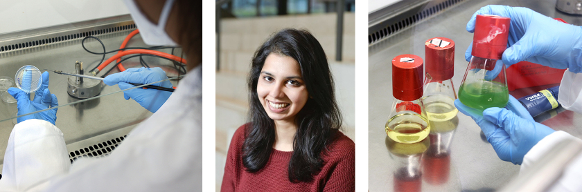 3 Bilder bilden eine Collage.