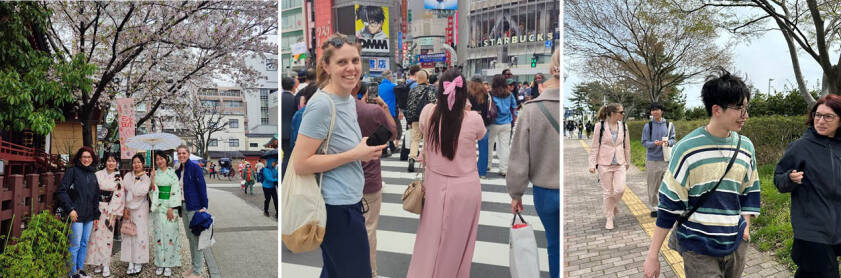 Panorama Japan-Reise