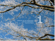 Bild des ersten Adventskalendertürchens:Baumäste im Winter; Zitat von Aristoteles Onas: Erfolg hat, wer ihm entegengen geht, statt ihm nachzulaufen.