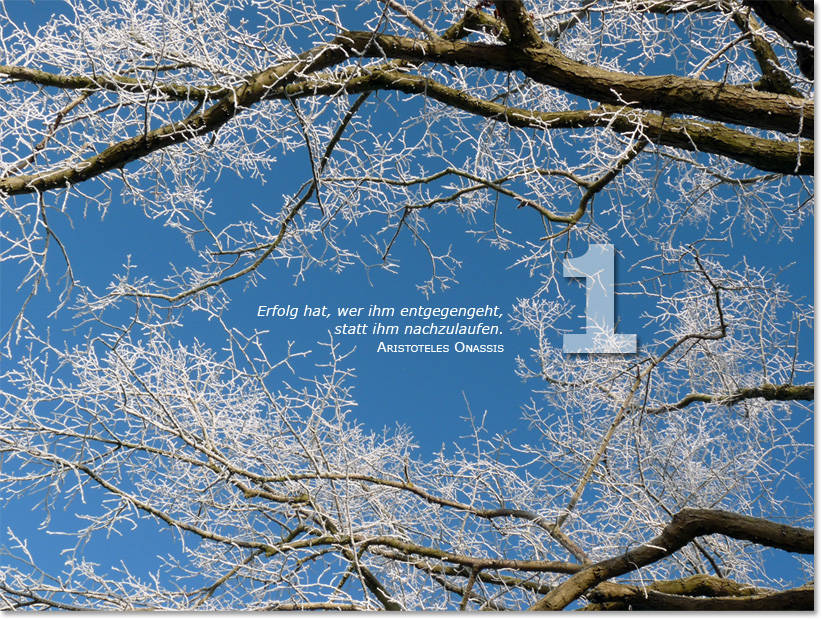 Bild des ersten Adventskalendertürchens:Baumäste im Winter; Zitat von Aristoteles Onas: Erfolg hat, wer ihm entegengen geht, statt ihm nachzulaufen.