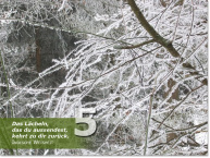 Bild des fünften Adventskalendertürchens: Verschneite Baumäste; Indische Weisheit: Das Lächeln, das du aussendest, kehrt zu dir zurück.