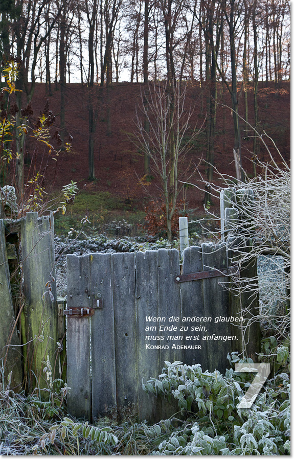 Bild des siebten Adventskalendertürchens: Hölzerne Pforte im winterlichen Wald; Zitat von Konrad Adenauer: Wenn die anderen glauben, am Ende zu sein, muss man erst anfangen.