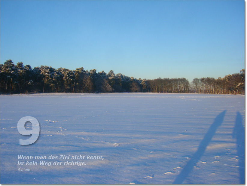 Bild des neunten Adventskalendertürchens: Schneefeld mit Waldrand im Hintergrund; Zitat aus dem Koran: Wenn man das Ziel nicht kennt, ist kein Weg der richtige.