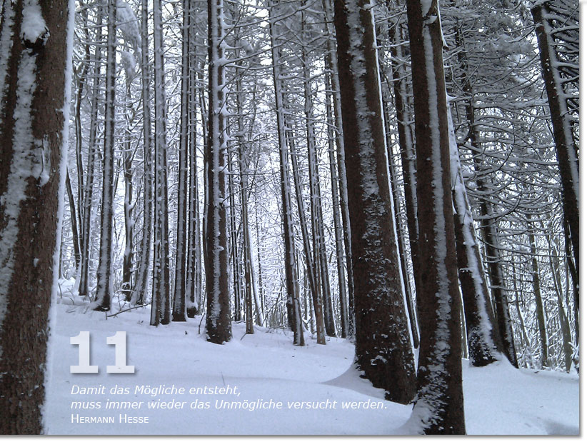 Bild des elften Adventskalendertürchens: Bäume im Schnee, Zitat von Herrman Hesse: Damit das Mögliche entsteht, muss immer wieder das Mögliche versucht werden.