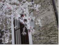 Bild des dreizehnten Adventskalendertürchens: vereiste Zweige vom Zierapfel vor altertümlichem Gebäude, Zitat von Aristoteles: Angenehm ist am Gegenwärtigen die Tätigkeit, am Künftigen die Hoffnung und am Vergangenen die Erinnerung.