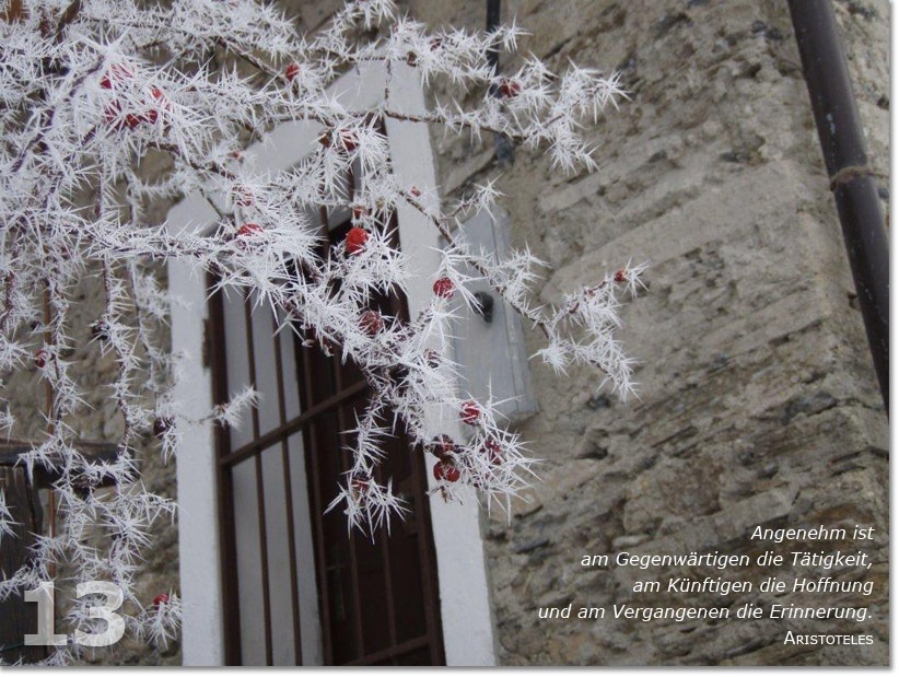 Bild des dreizehnten Adventskalendertürchens: vereiste Zweige vom Zierapfel vor altertümlichem Gebäude, Zitat von Aristoteles: Angenehm ist am Gegenwärtigen die Tätigkeit, am Künftigen die Hoffnung und am Vergangenen die Erinnerung.
