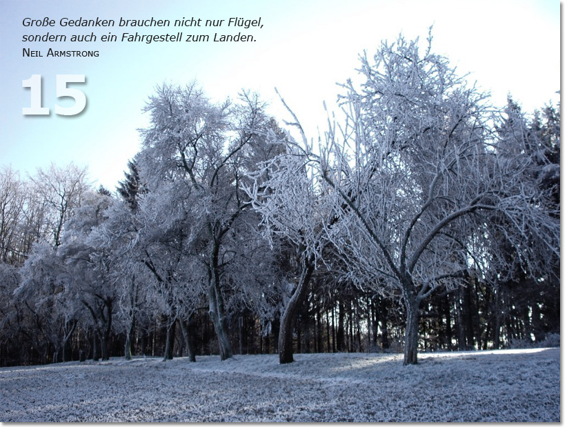 Bild des fünfzehnten Adventskalendertürchens: Schneebedeckte Bäume, Zitat von Neil Armstrong: Große Gedanken brauchen nicht nur Flügel, sondern auch ein Fahrgestell zum Landen.
