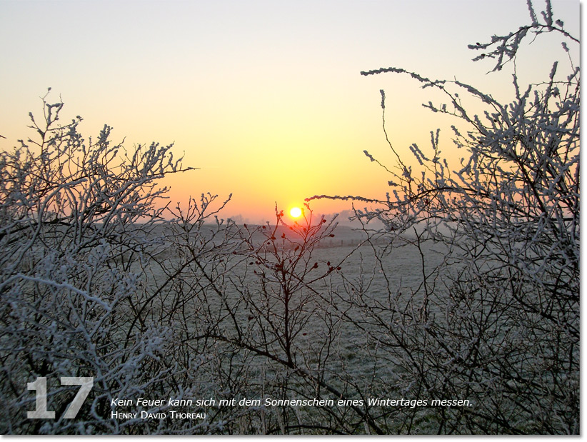 Bild des siebzehnten Adventskalendertürchens: Sonnenuntergang auf vereistem Feld ; Zitat von Henry David Thoreau: Kein Feuer kann sich mit dem Sonnenschein eines Wintertages messen.