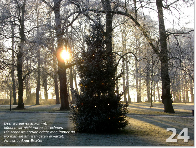 Bild des 24. Adventskalendertürchens: Weihnachtsbaum im Sonnenuntergang; Zitat von Antoine de Sanit-Expéry: Das, worauf es ankommt, können wir nicht vorausberechnen. Die schönste Freude erlebt man immer da, wo man sie am wenigsten erwartet.