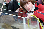 ein Kind lässt Wasser in ein Aquarium ein