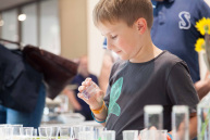 Ein Junge schaut in einen kleinen Behälter mit Kügelchen