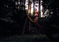 Ein Foto von einem nackten Mann von hinten, der auf einem Baumstamm im Wald steht