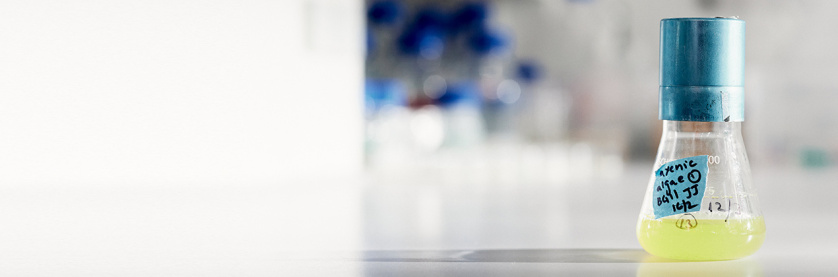 EIn Kolben gefüllt mit grüner Flüssigkeit