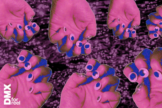 Zweites Filmfestival DMX FOR REEL_Luisa Koch