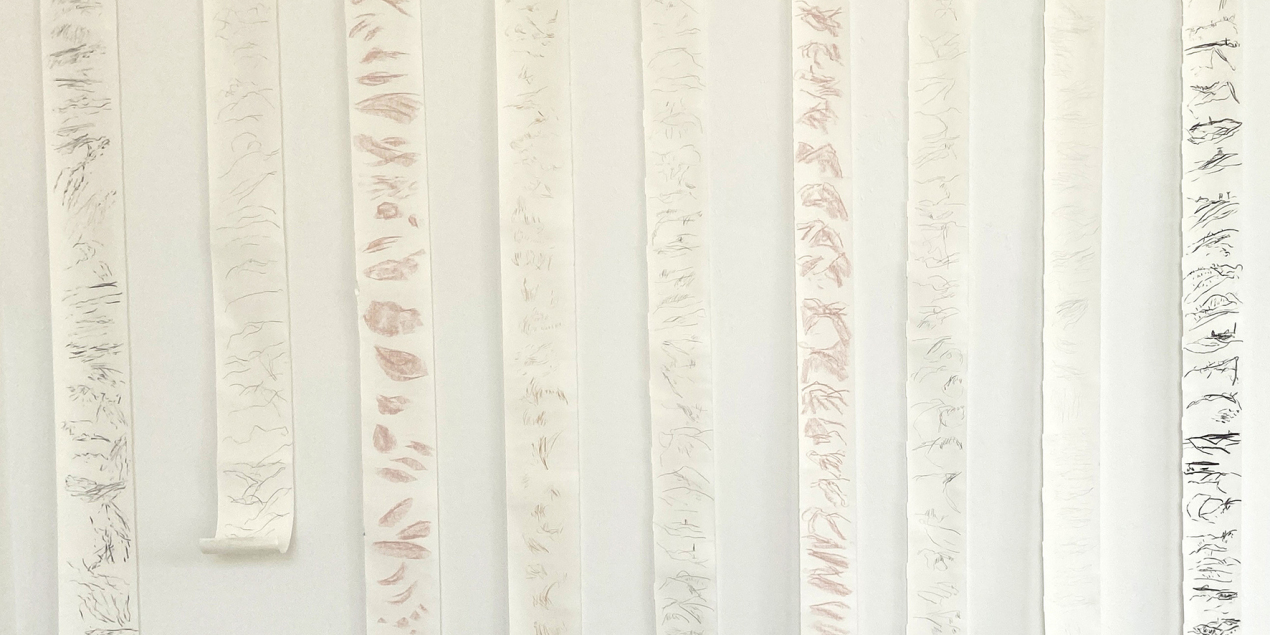 Lange Papierrollen mit Zeichnungen hängen an einer Wand