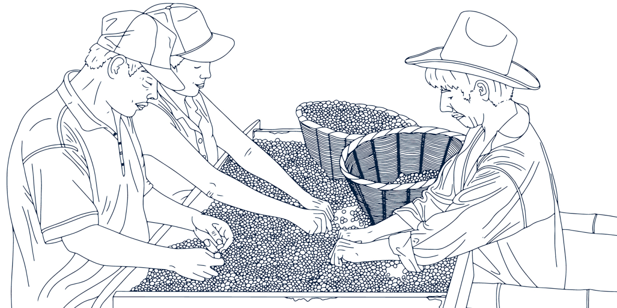 Abschlussarbeit von Adriane Guse, Bachelor-Absolventin der Studienrichtung Kommunikationsdesign