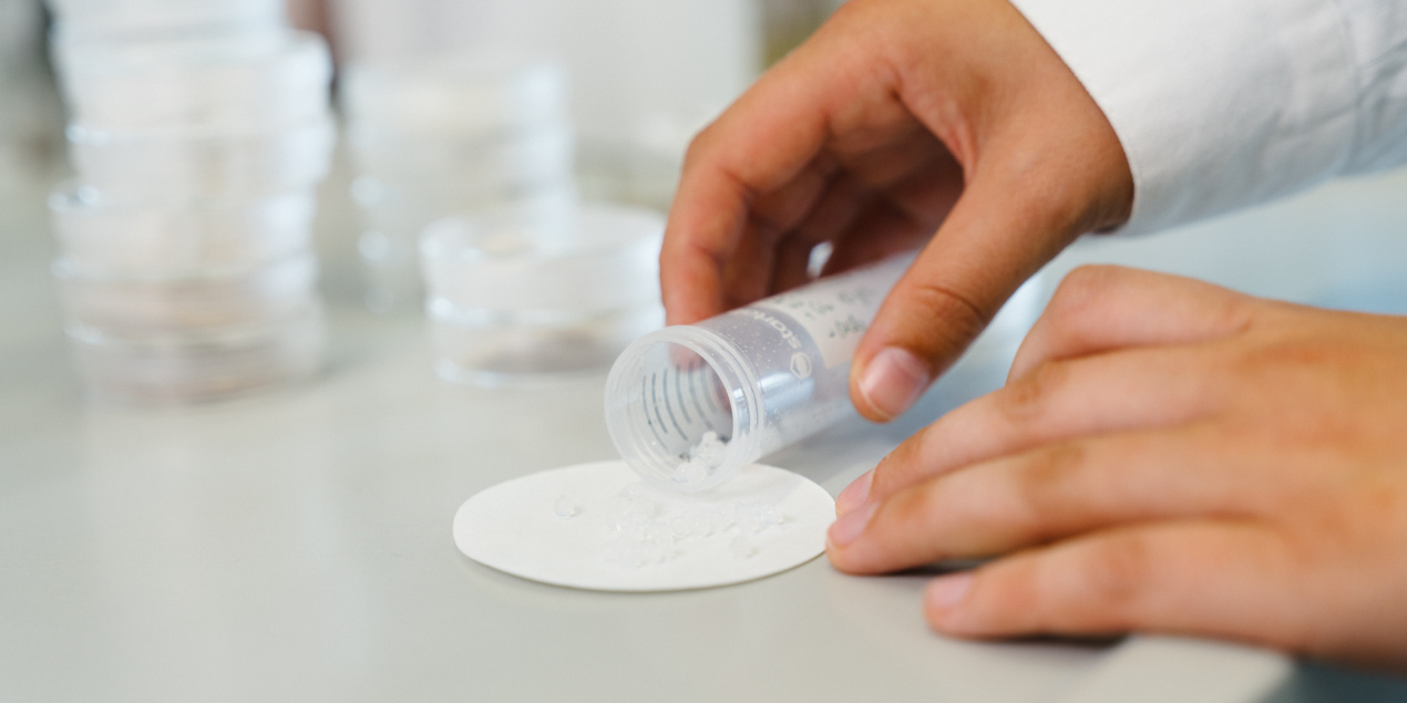 Der Wirkstoff wird genauer untersucht