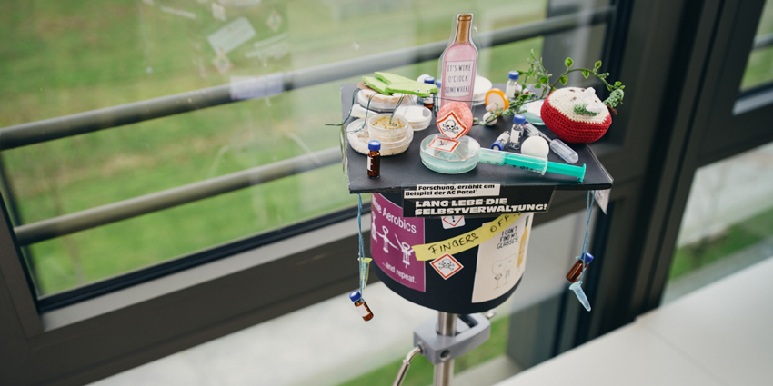 Der gebastelte Doktorhut von Linda Muskat fasst alle Themen ihrer Promotion zusammen Einen gehäkelten Apfel Spritzen Pipetten Petrischalen mit Warnhinweisen und Witzbilder