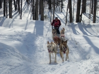 Schlittenhunderennen FB 5  2010