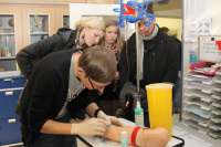 Die Studierenden der Gesundheits- und Krankenpflege demonstrierten zur feierlichen Laboreinweihung Übungen an den Pflegestationen. Hier versucht ein Student einen Zugang für eine Infusion zu legen.