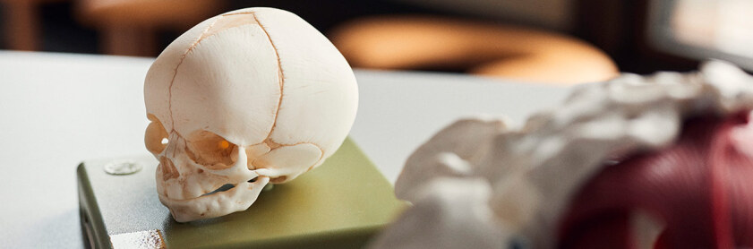 20210818_Skills-Lab-für-Hebammen_Pollmeier_Panorma_09