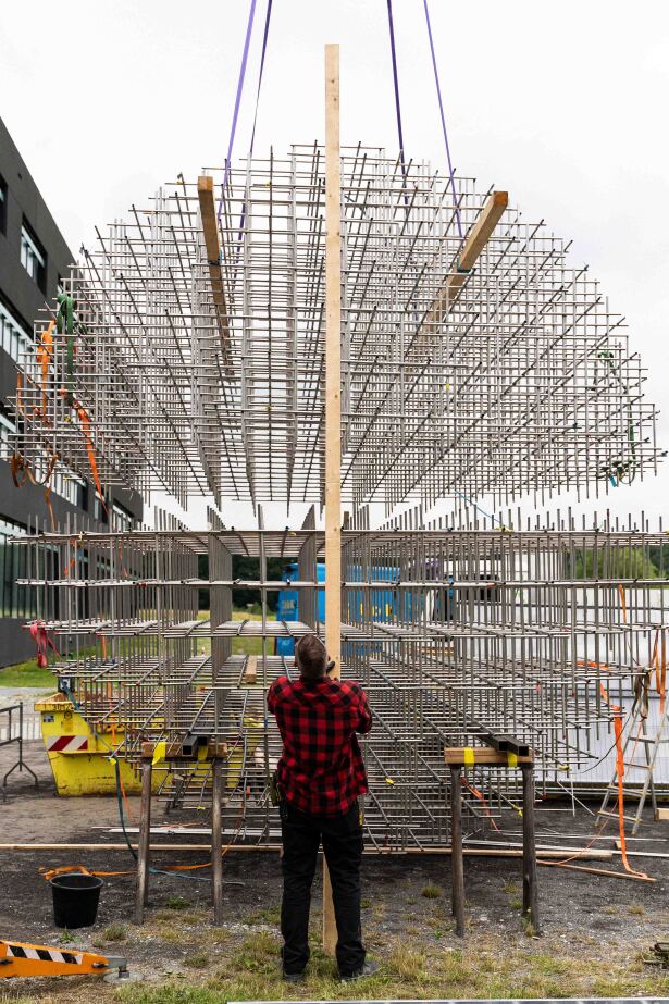 Eine Person steht vor dem Kunstwerk