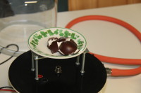 Ein Mohrenkopf als Objekt eines Vakuumversuchs.