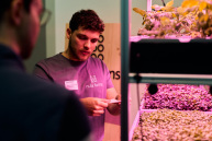 Ein Man steht an einem Regal das Gemüsepflanzen und sprossen enthält