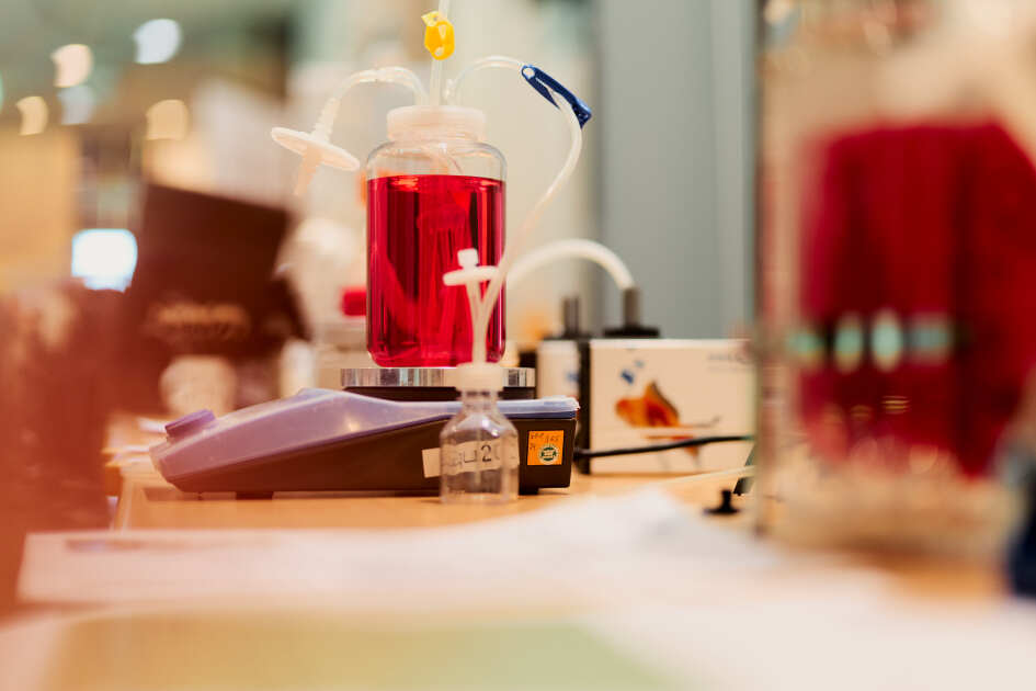 Foto: Ein Reagenzglas mit roter Flüssigkeit und schläuchen steht auf einer Waage