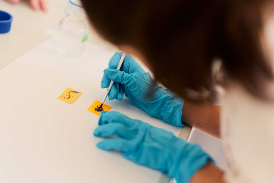 Foto: Eine Person trägt blaue Handschuhe und malt mit einem Pinsel ein Herz auf ein Notizblatt