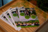 Flyer ViSiB