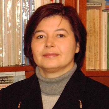 Porträt von Prof. Dr. Havva Engin