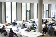 Studierende lernen in der Bibliothek.