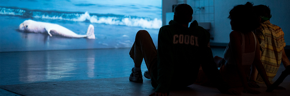 Drei Studierende sitzen auf einem Boden in einem dunklen Raum und schauen einer Videoinstallation zu auf der ein gestandeter Wal zu sehen ist